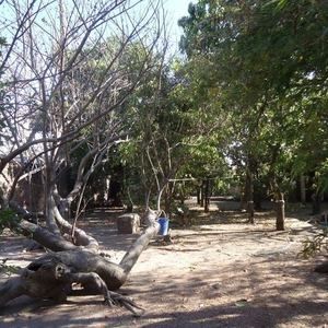 Meet your Posher, Elena